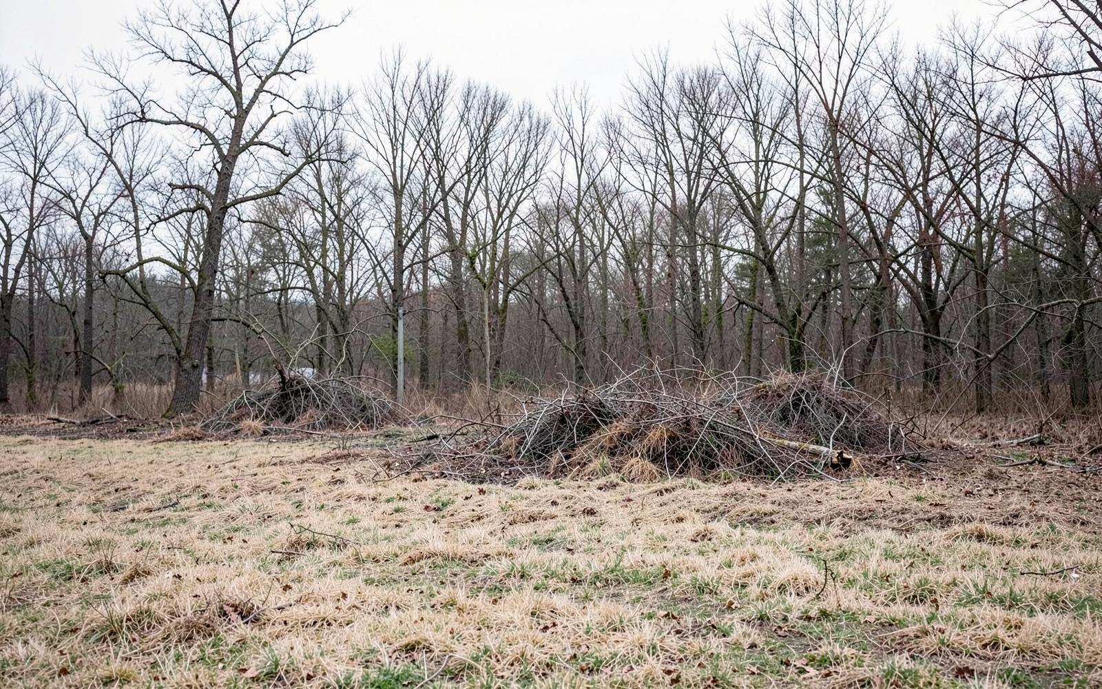 The Best Time of Year to Clear Land in Indiana and Ohio