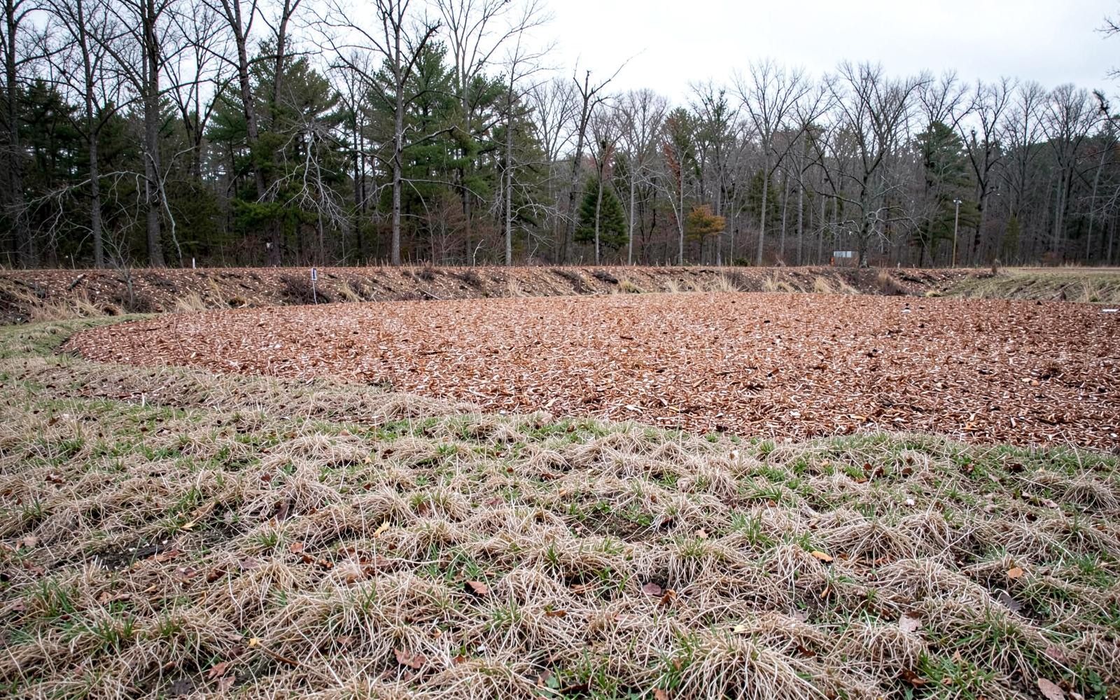 Brush Hogging vs. Forestry Mulching: When Each One Is the Right Call