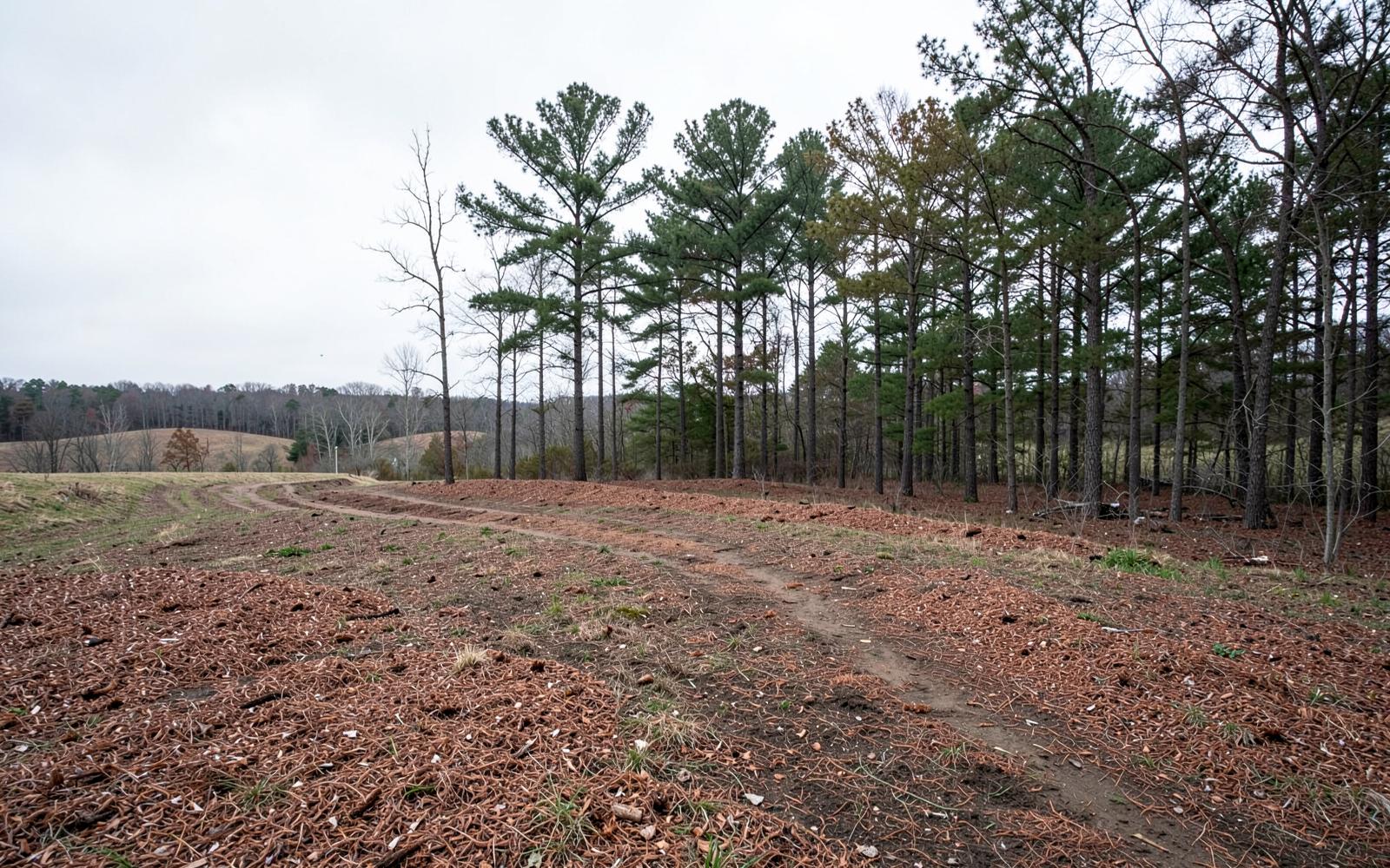 What Indiana and Ohio Landowners Pay for Clearing, Mulching, and Excavating