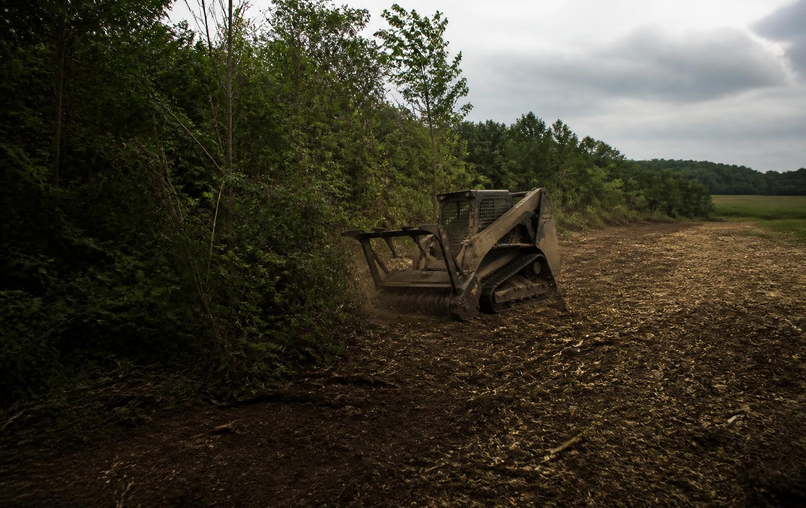 Tracked skid steer with a mulching head at the line between overgrown brush and freshly cleared ground on an Indiana property