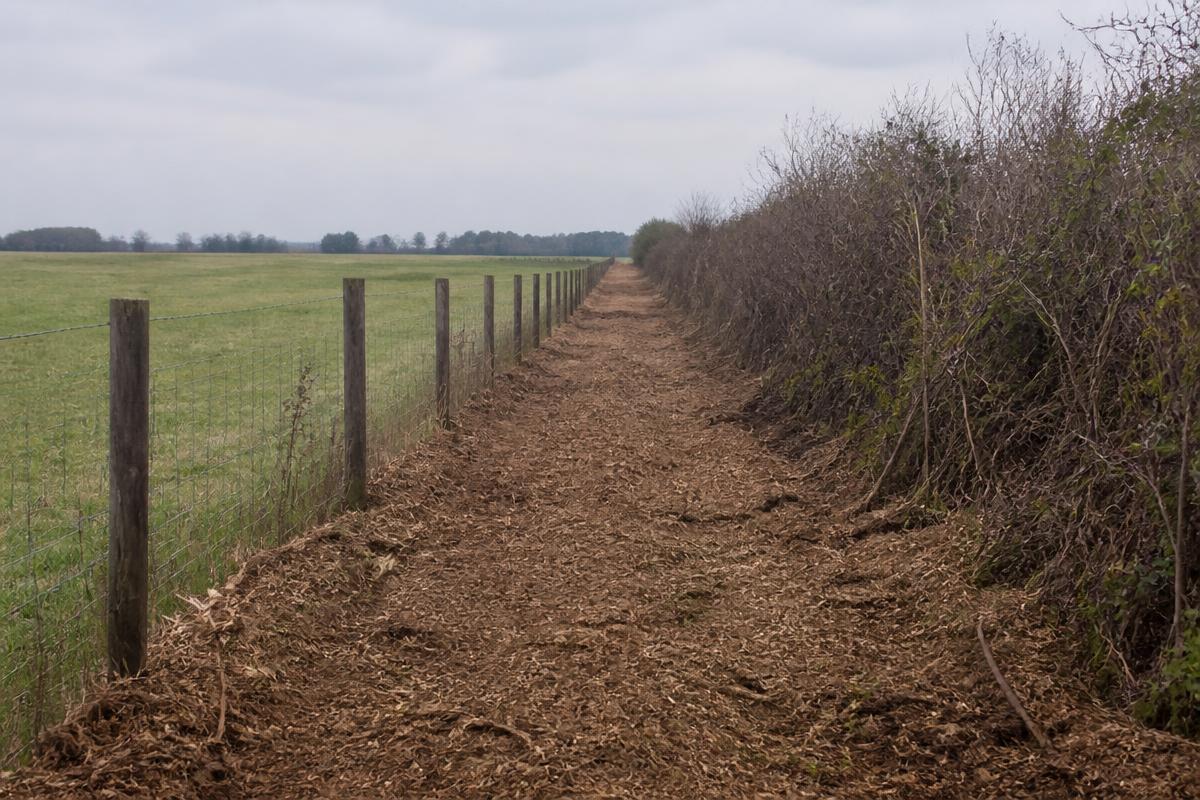 Freshly cleared and mulched fence line beside a wire fence on Indiana farmland